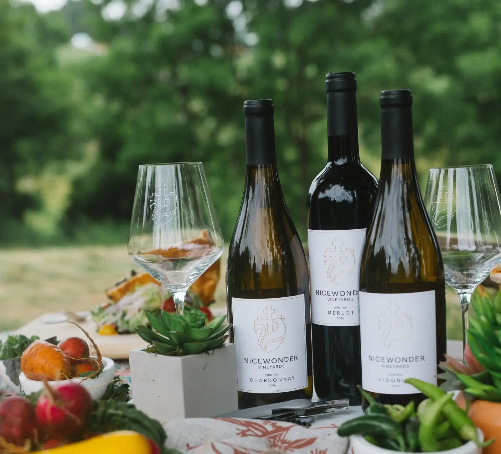 Nicewonder Vineyards wine bottles and picnic spread