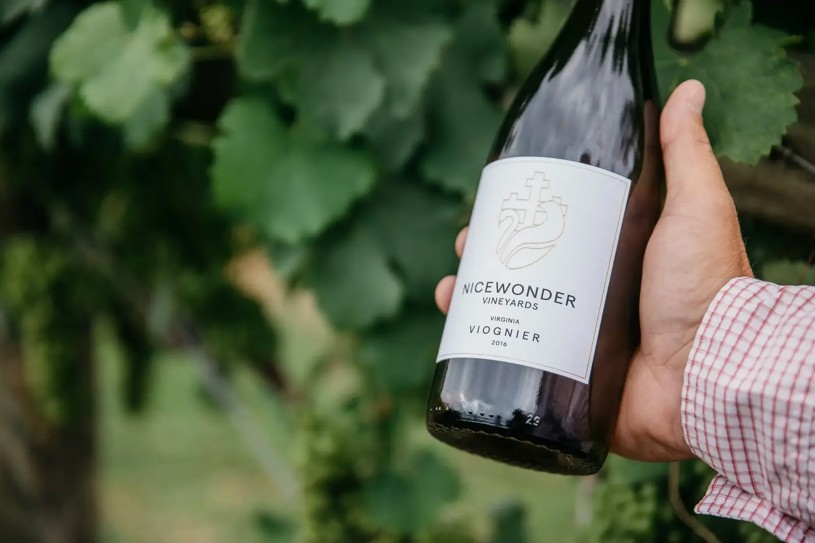 bottle of Nicewonder Vineyards wine