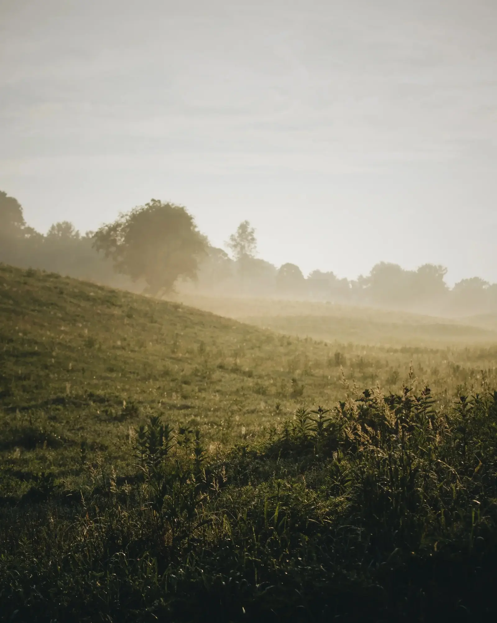 581C509A-EC8B-4F1E-B779-B81F8FE61DBC