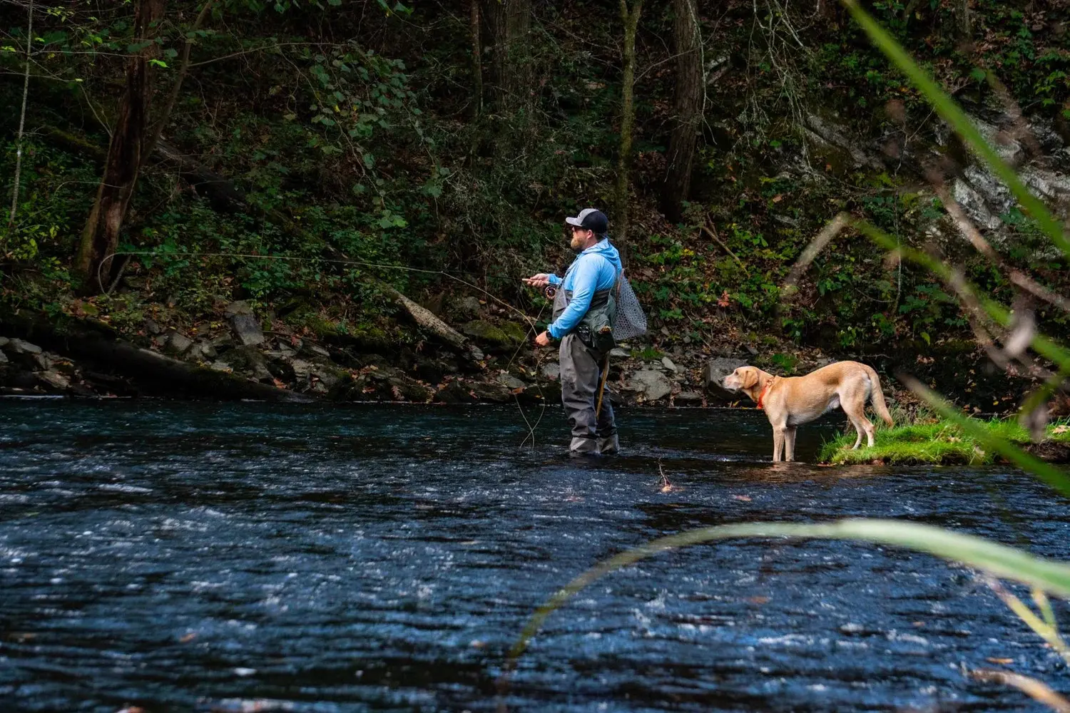 man fly fishing with dog
