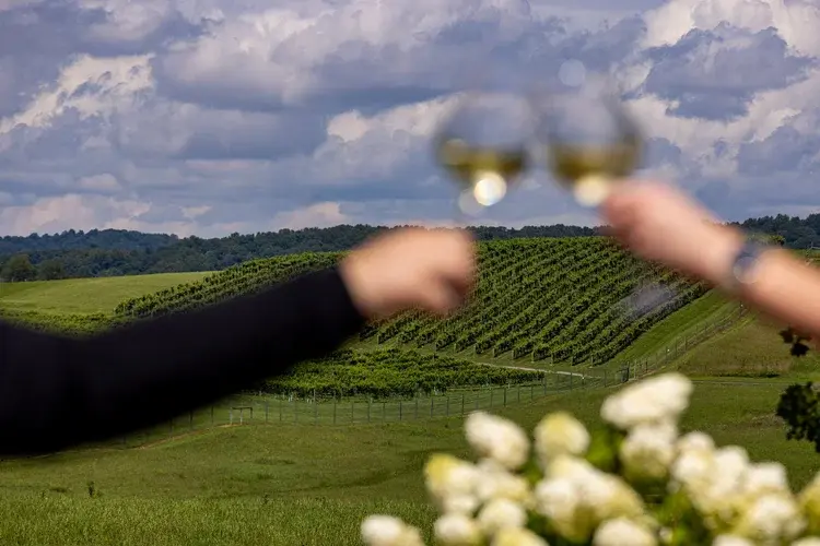 toasting wine with view of vineyard
