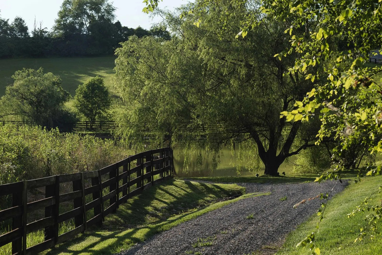 DSC_2205-8ca84259becbe9b220b3cefcbb4e96f0