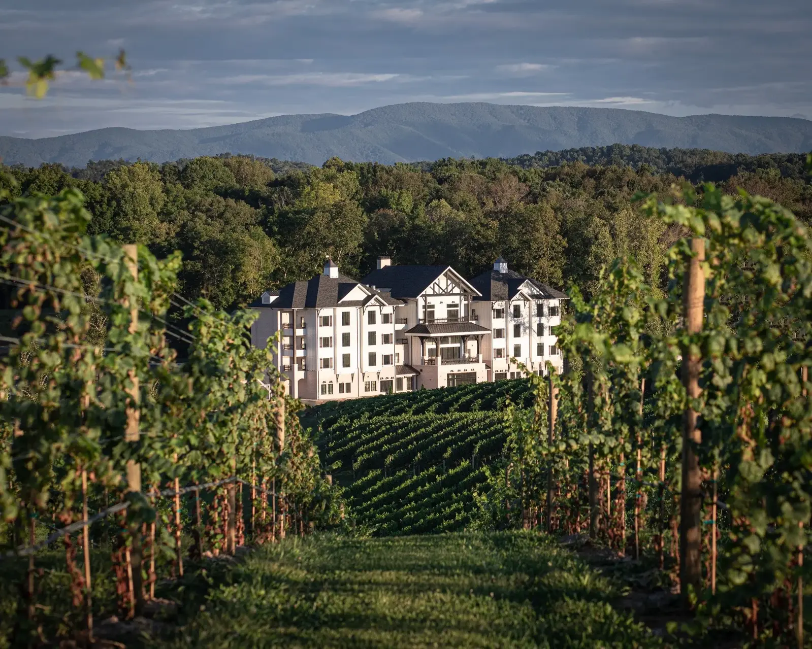 The+Inn+from+the+Vineyard