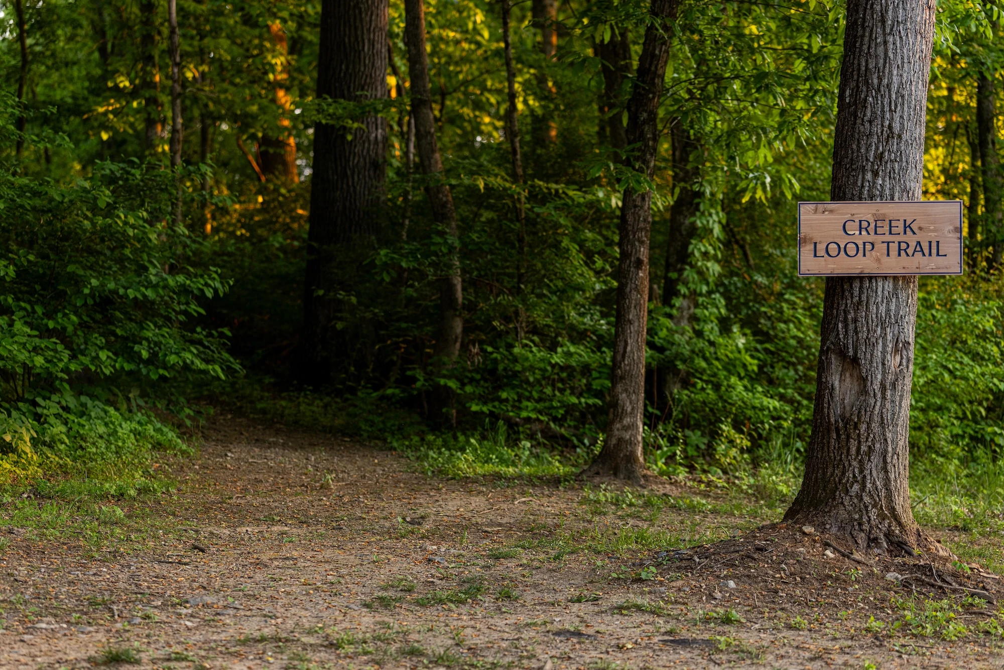 hiking near bristol virginia