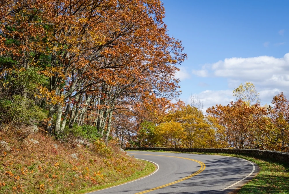 shutterstock_2441471035